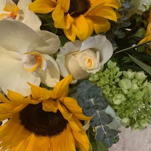 Meet your Posher, Gina